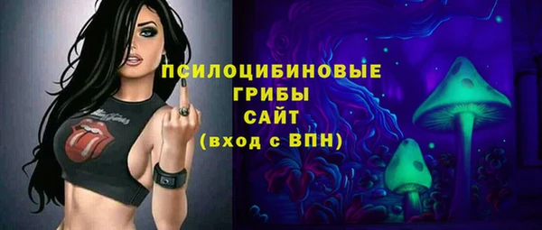 дживик Богородск