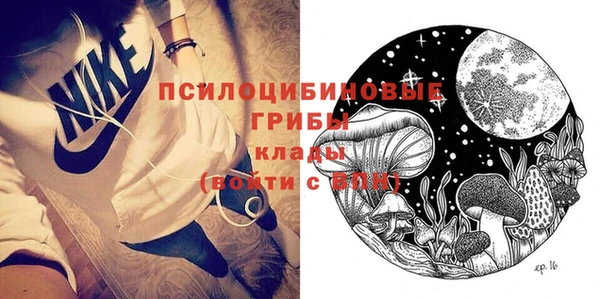 PSILOCYBIN Богородицк