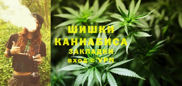 дживик Богородск