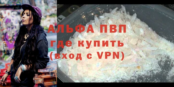 PSILOCYBIN Богородицк