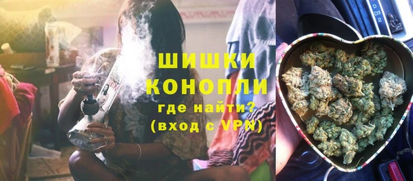 дживик Богородск