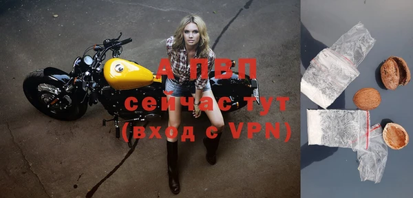 a pvp Богданович