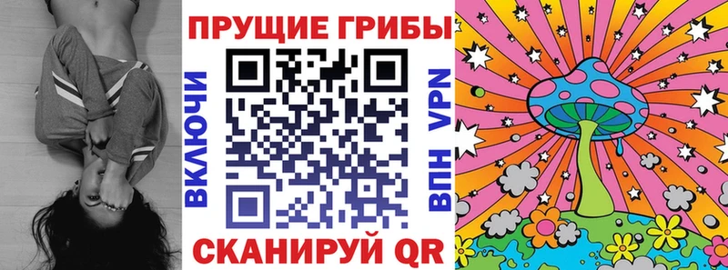 Купить  Дегтярск  Галлюциногенные грибы GOLDEN TEACHER 